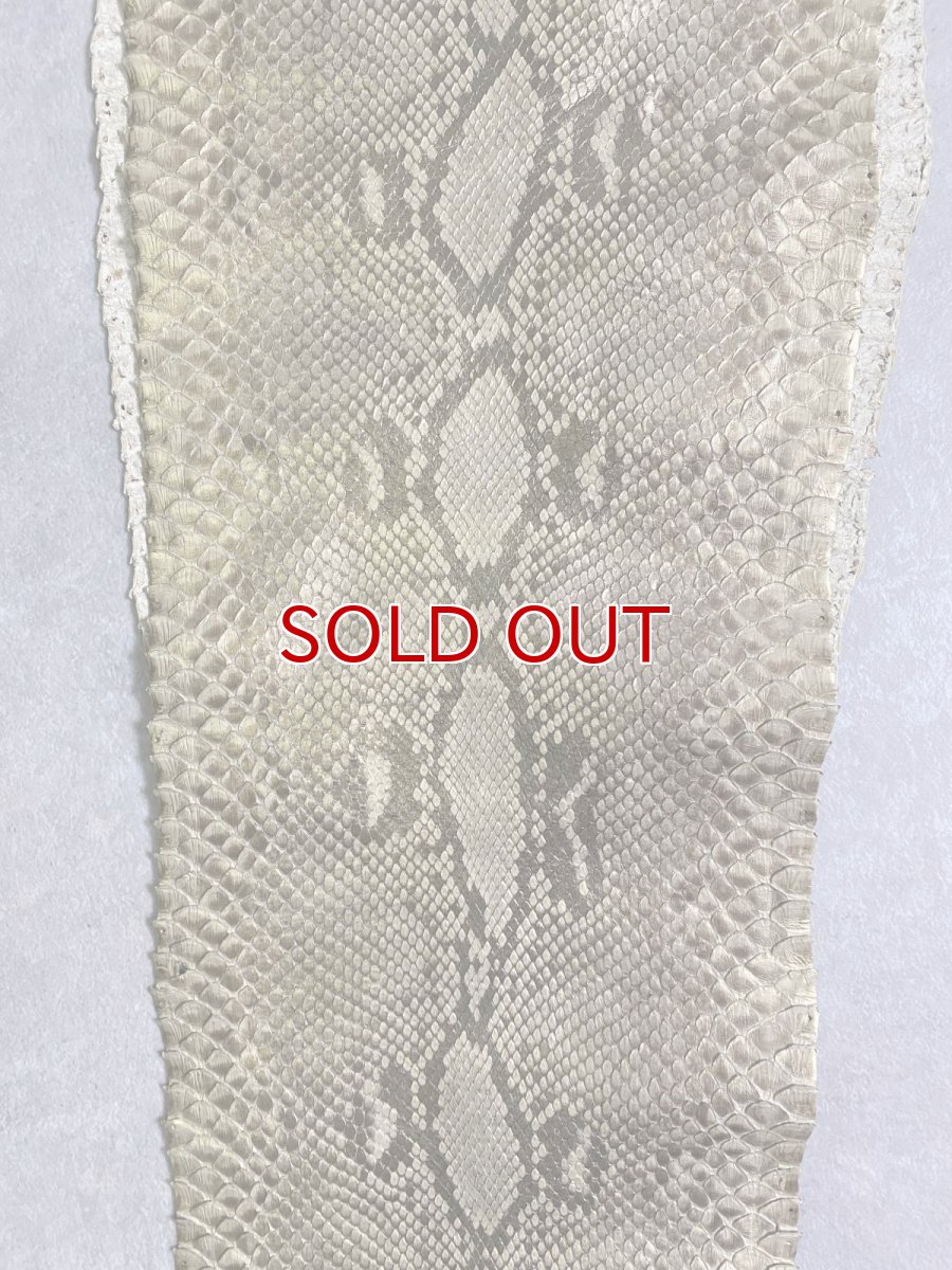画像2: パイソン　ゴールド柄あり F/C　240cm　ヘビ革　蛇革　エキゾチックレザー (2)