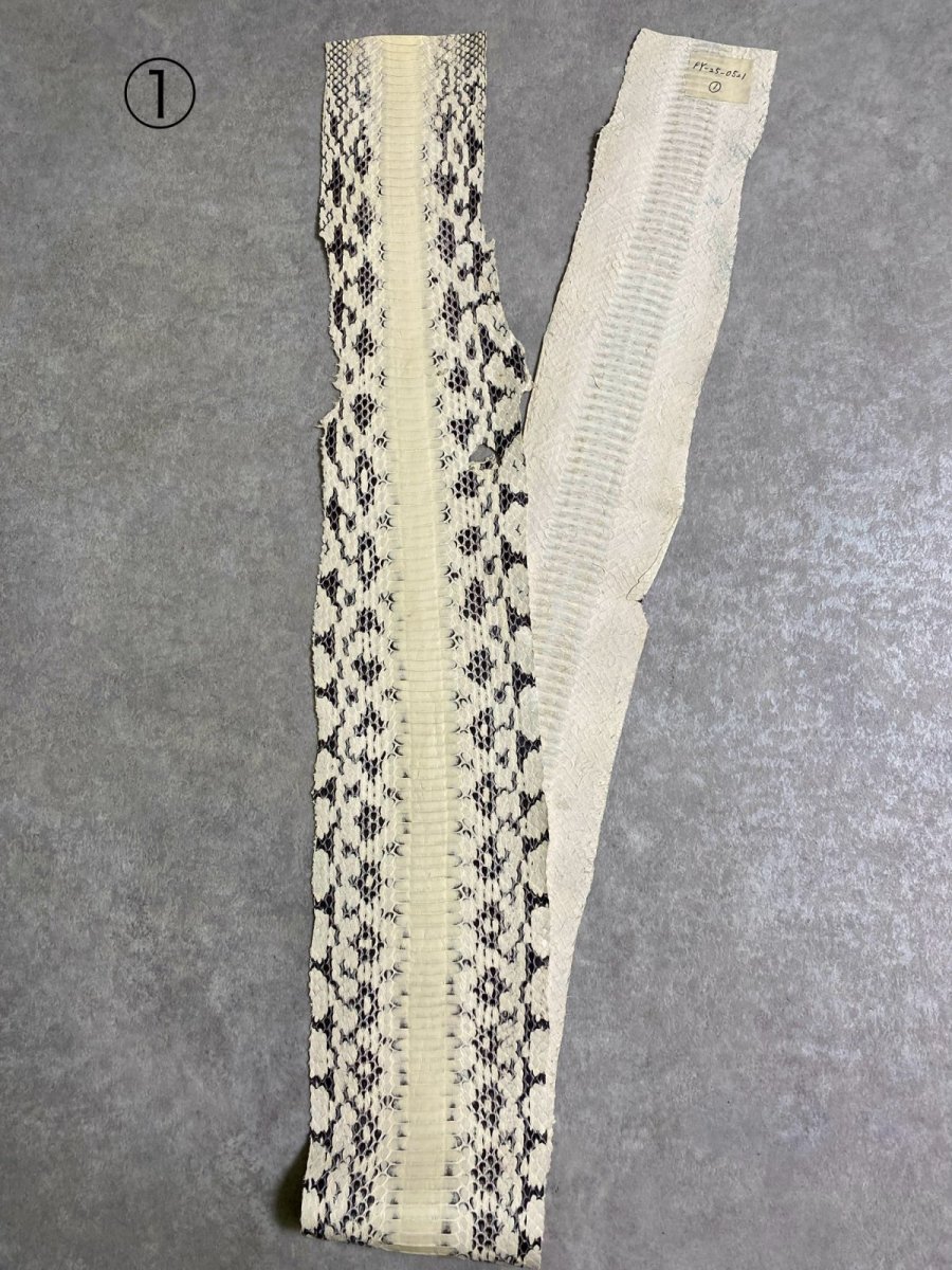 画像3: ヘビ革　ミズヘビ　ナチュラル　 (3)