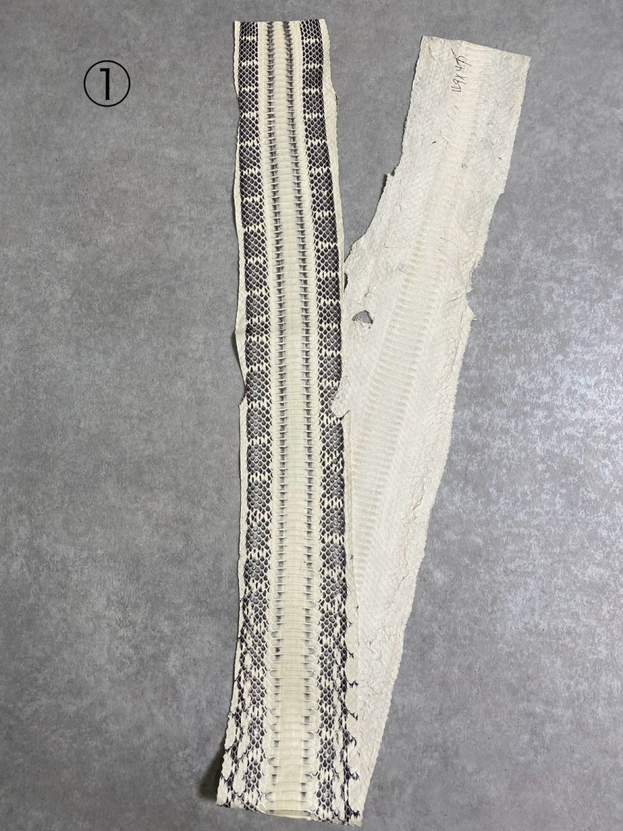 画像4: ヘビ革　ミズヘビ　ナチュラル　 (4)