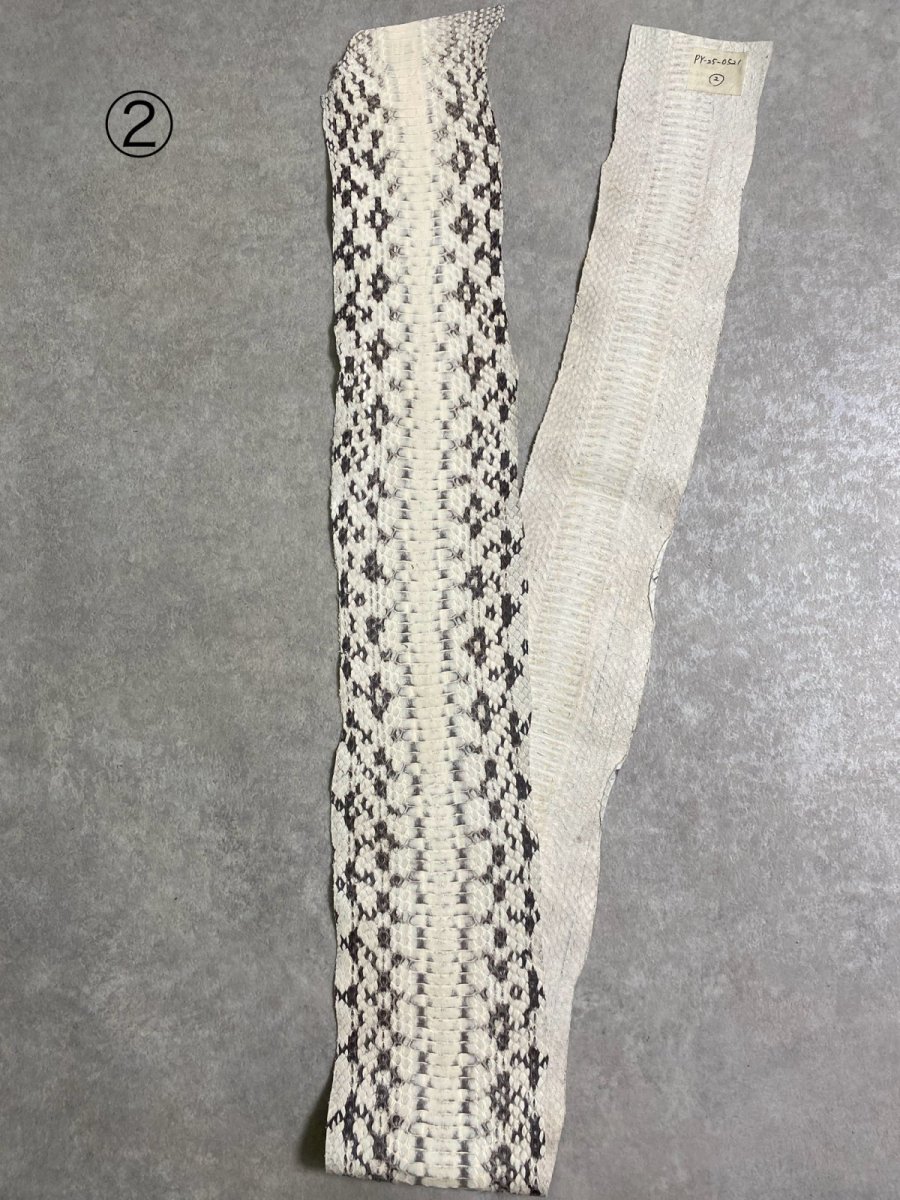 画像5: ヘビ革　ミズヘビ　ナチュラル　 (5)