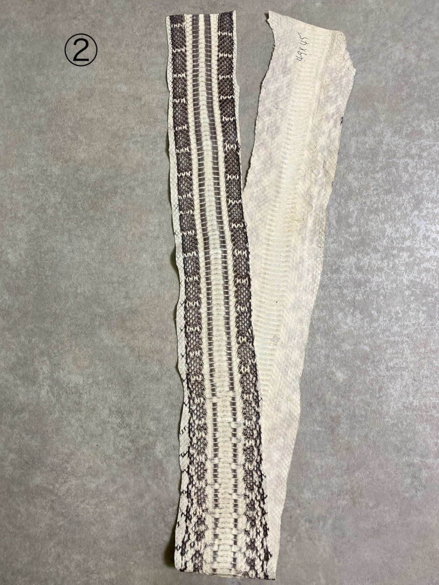 画像6: ヘビ革　ミズヘビ　ナチュラル　 (6)