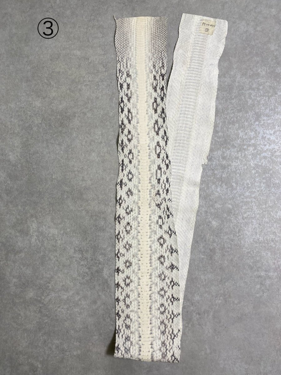 画像7: ヘビ革　ミズヘビ　ナチュラル　 (7)