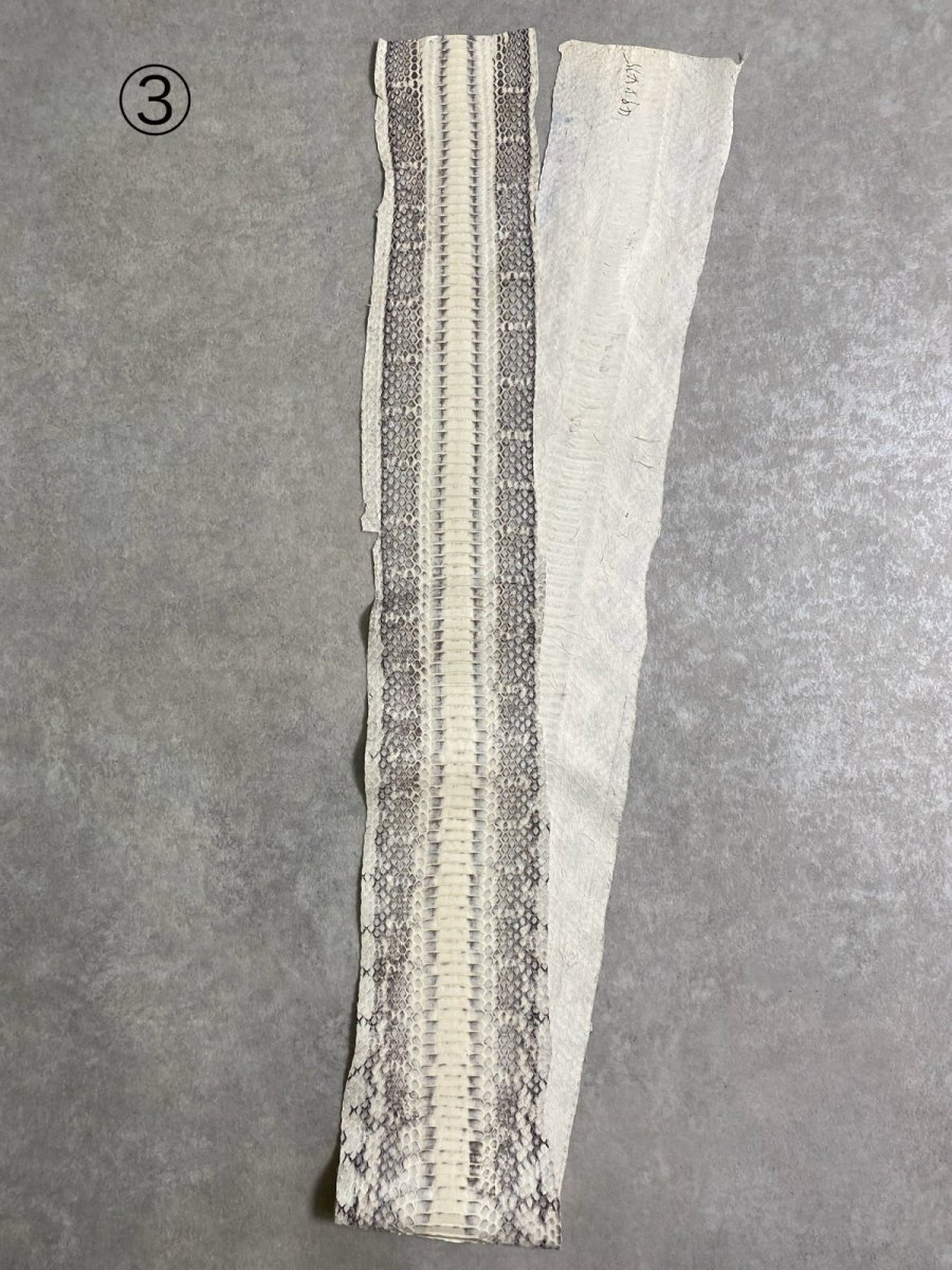 画像8: ヘビ革　ミズヘビ　ナチュラル　 (8)