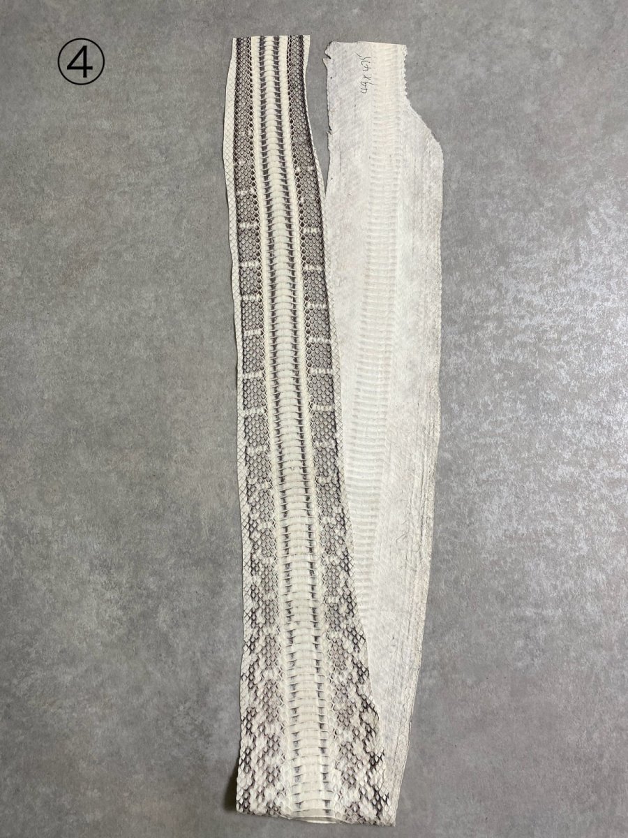 画像10: ヘビ革　ミズヘビ　ナチュラル　 (10)