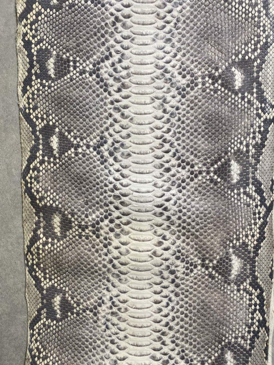 画像2: ダイヤモンドパイソン　ナチュラル　ツヤなし　B/C　345cm (2)