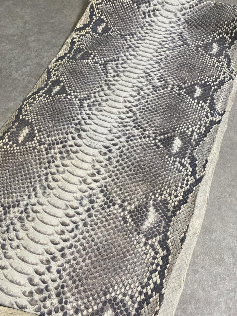 画像3: ダイヤモンドパイソン　ナチュラル　ツヤなし　B/C　345cm (3)