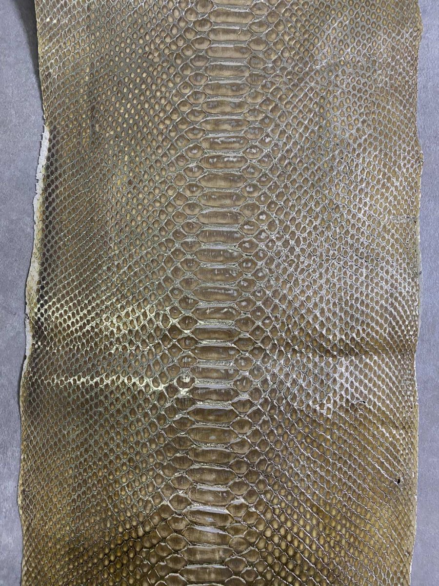 画像3: ダイヤモンドパイソン　ゴールド吟スリ　370cm　ヘビ革 (3)