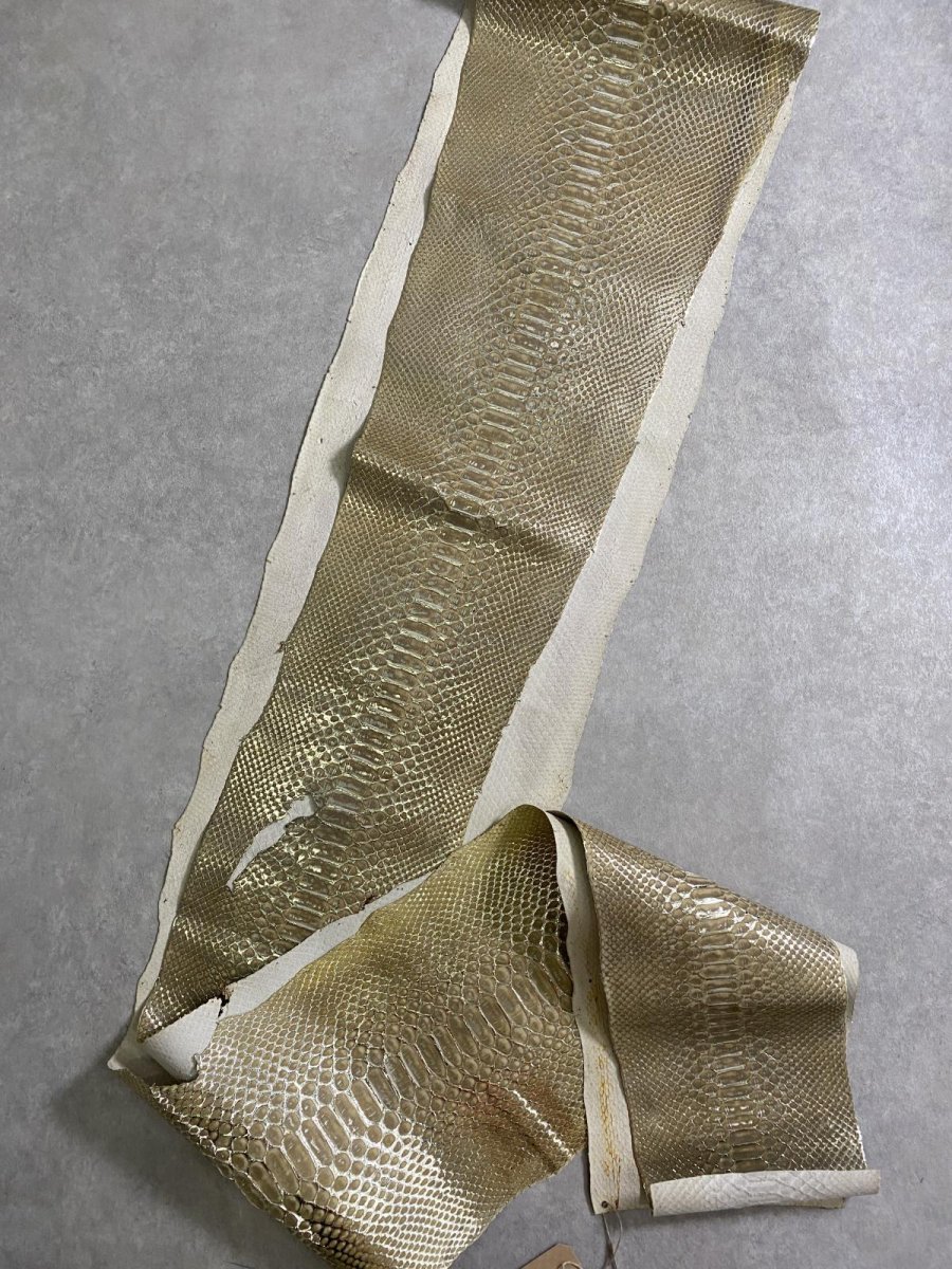 画像5: ダイヤモンドパイソン　ゴールド吟スリ　370cm　ヘビ革 (5)