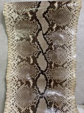 画像3: ダイヤモンドパイソン　ナチュラル  F/C　355cm　ヘビ革　蛇革　エキゾチックレザー (3)