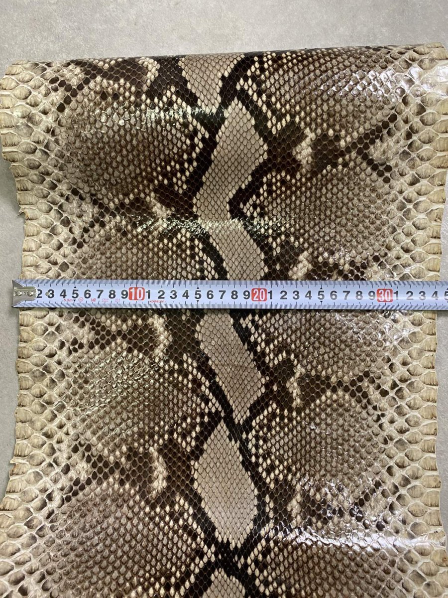 画像5: ダイヤモンドパイソン　ナチュラル  F/C　355cm　ヘビ革　蛇革　エキゾチックレザー (5)