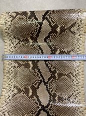 画像5: ダイヤモンドパイソン　ナチュラル  F/C　355cm　ヘビ革　蛇革　エキゾチックレザー (5)