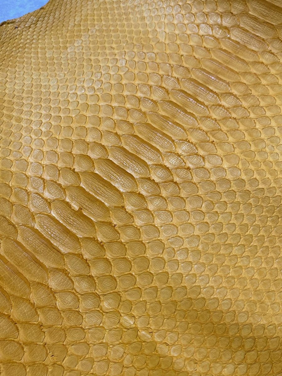画像3: ダイヤモンドパイソン　イエロー　B/C　300cm (3)