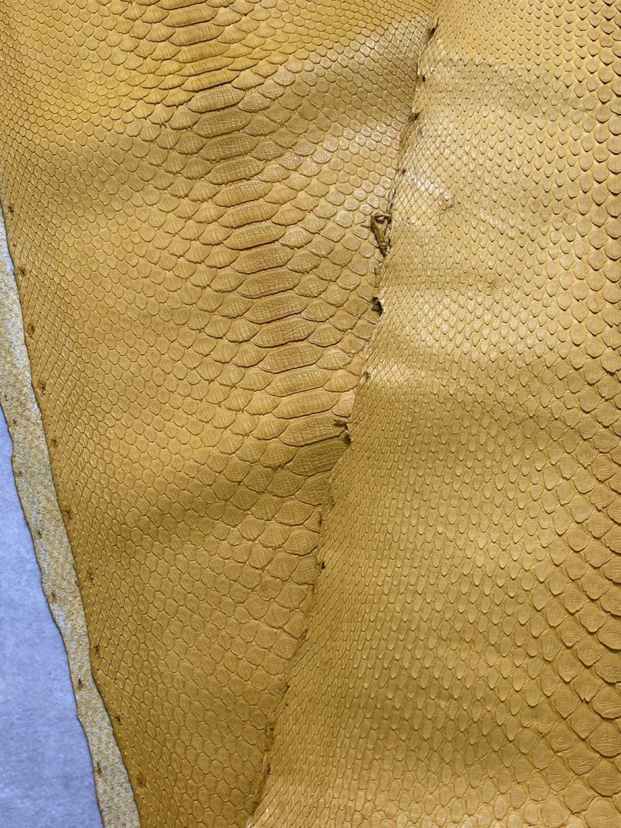 画像2: ダイヤモンドパイソン　イエロー　B/C　300cm (2)
