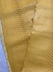 画像2: ダイヤモンドパイソン　イエロー　B/C　300cm (2)