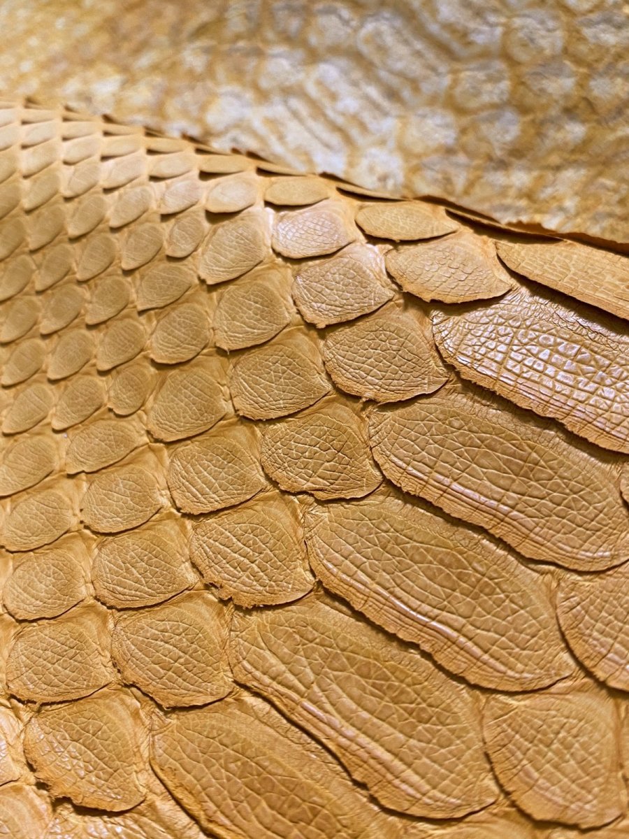 画像5: ダイヤモンドパイソン　イエロー　B/C　300cm (5)