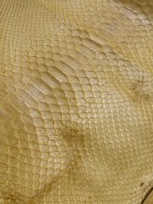 画像2: ダイヤモンドパイソン　イエロー　B/C　240cm (2)