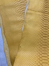 画像3: ダイヤモンドパイソン　イエロー　B/C　240cm (3)
