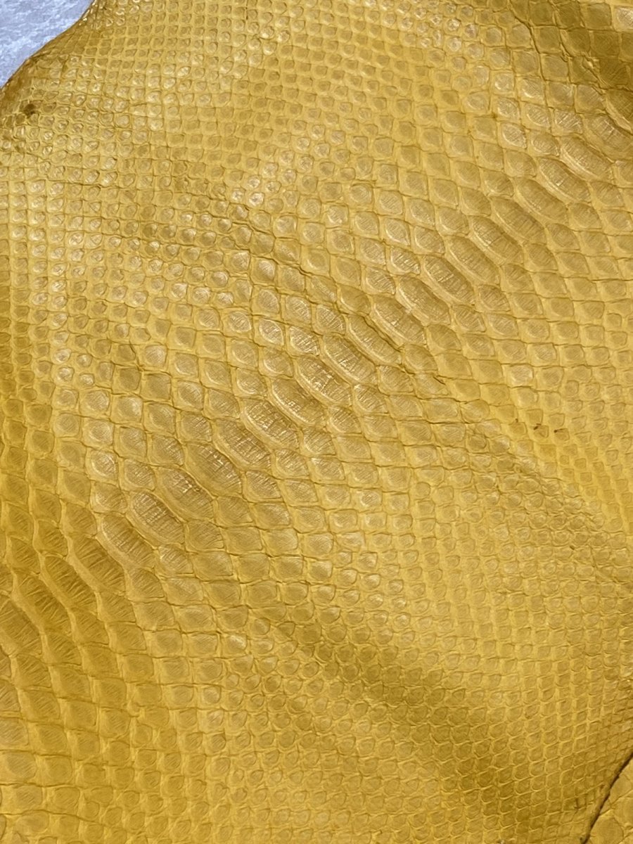 画像2: ダイヤモンドパイソン　イエロー　B/C　265cm (2)