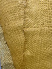画像3: ダイヤモンドパイソン　イエロー　B/C　265cm (3)