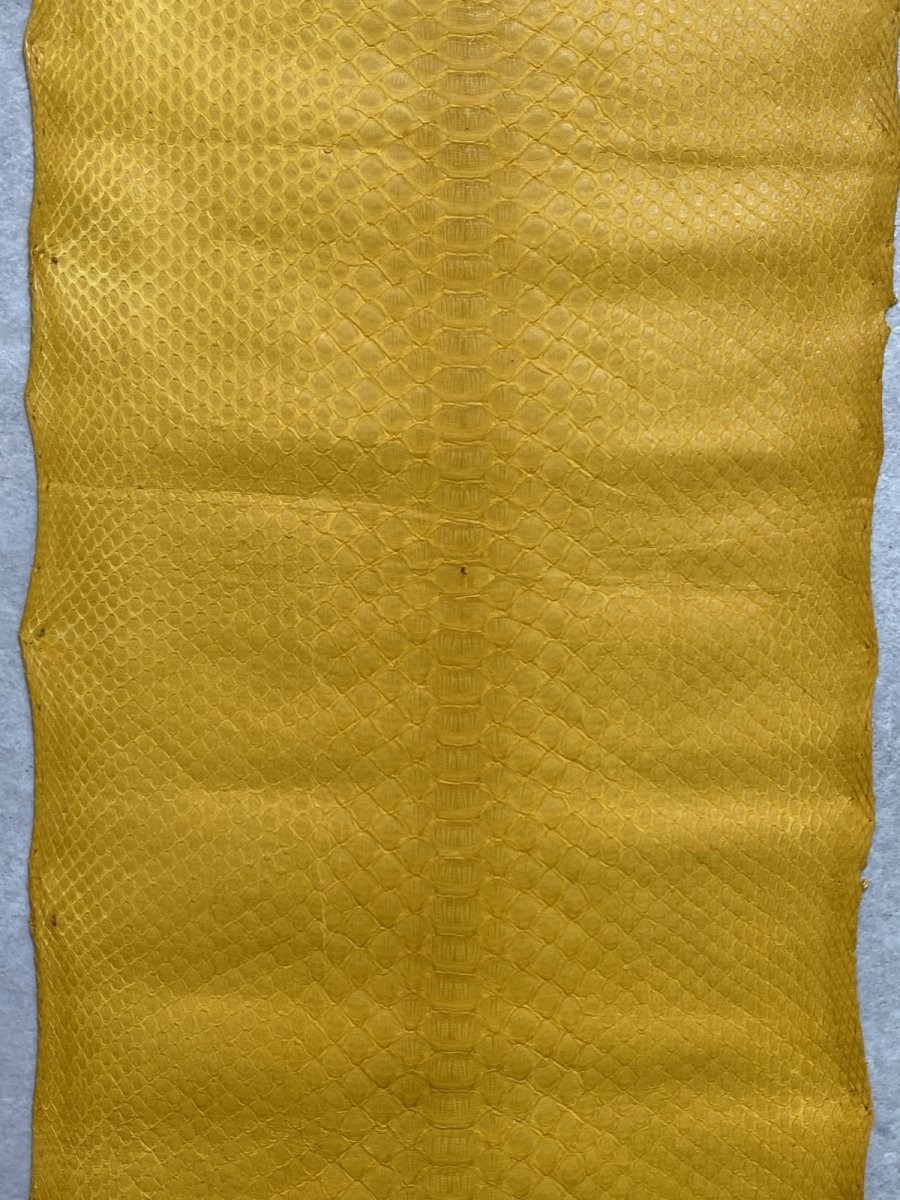 画像7: ダイヤモンドパイソン　イエロー　B/C　265cm (7)