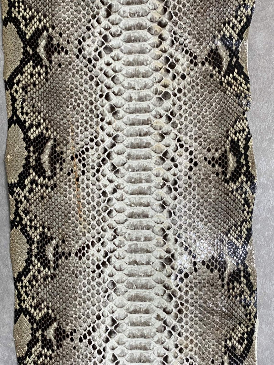 画像7: ダイヤモンドパイソン　ナチュラル  B/C　361cm　ヘビ革　蛇革　エキゾチックレザー (7)
