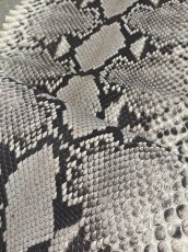 画像6: ダイヤモンドパイソン　ヘビ革　ナチュラル　ツヤなし  F/C　372cm　蛇革　エキゾチックレザー (6)