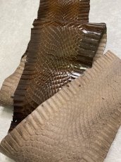 画像3: コブラ革　ブラウン　100cm　ヘビ革　蛇革　スネーク (3)