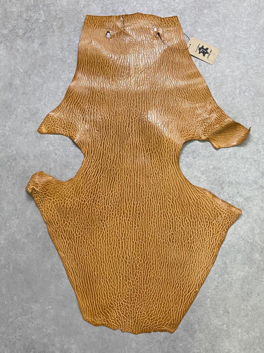 画像1: ケープシール　キャメル　オットセイ革　シールスキン　エキゾチックレザー (1)