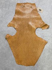 画像1: ケープシール　キャメル　オットセイ革　シールスキン　エキゾチックレザー (1)