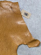 画像3: ケープシール　キャメル　オットセイ革　シールスキン　エキゾチックレザー (3)
