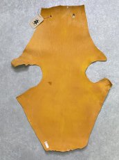 画像8: ケープシール　キャメル　オットセイ革　シールスキン　エキゾチックレザー (8)