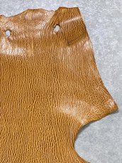 画像3: ケープシール　キャメル　オットセイ革　シールスキン　エキゾチックレザー (3)