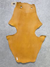 画像9: ケープシール　キャメル　オットセイ革　シールスキン　エキゾチックレザー (9)