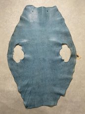画像1: ケープシール ターコイズ オットセイ革 シールスキン (1)