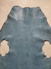 画像6: ケープシール ターコイズ オットセイ革 シールスキン (6)