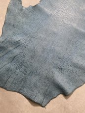 画像5: ケープシール ターコイズ オットセイ革 シールスキン (5)