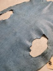 画像4: ケープシール ターコイズ オットセイ革 シールスキン (4)