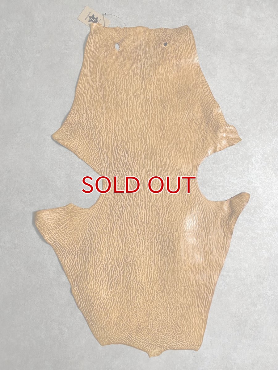 画像1: ケープシール　キャメル　オットセイ革　シールスキン　エキゾチックレザー (1)