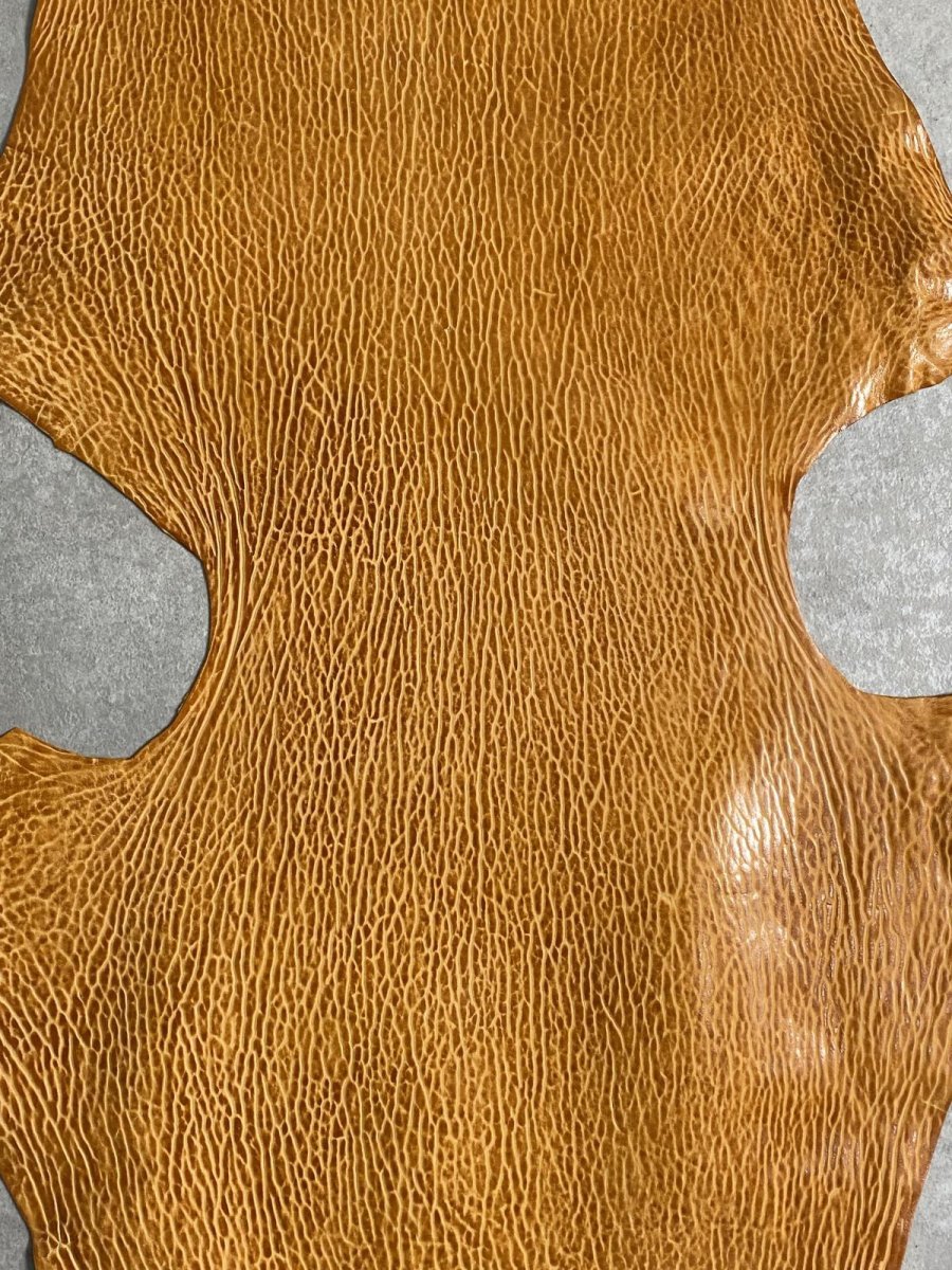 画像2: ケープシール　キャメル　オットセイ革　シールスキン　エキゾチックレザー (2)