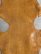 画像2: ケープシール　キャメル　オットセイ革　シールスキン　エキゾチックレザー (2)