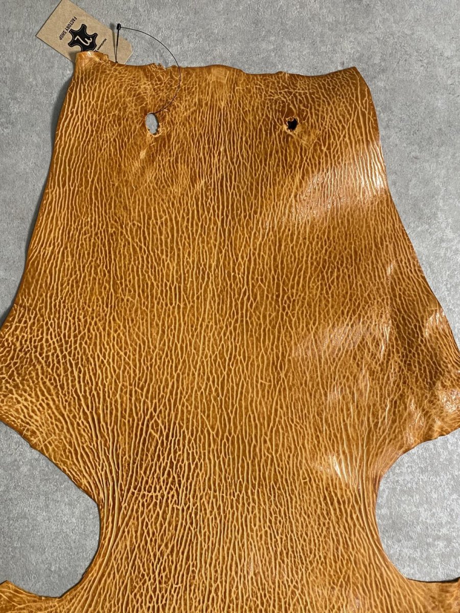 画像3: ケープシール　キャメル　オットセイ革　シールスキン　エキゾチックレザー (3)