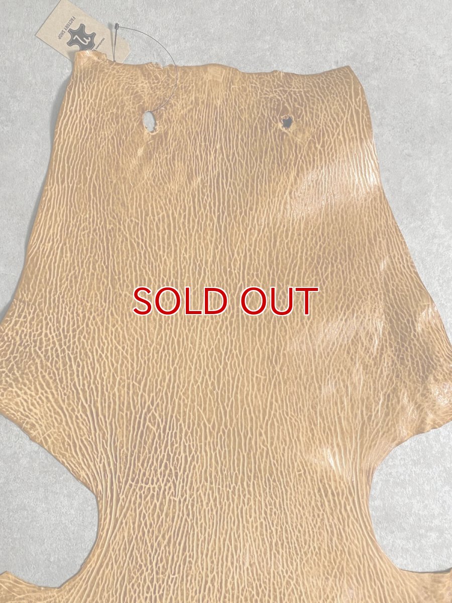 画像3: ケープシール　キャメル　オットセイ革　シールスキン　エキゾチックレザー (3)