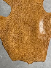 画像4: ケープシール　キャメル　オットセイ革　シールスキン　エキゾチックレザー (4)