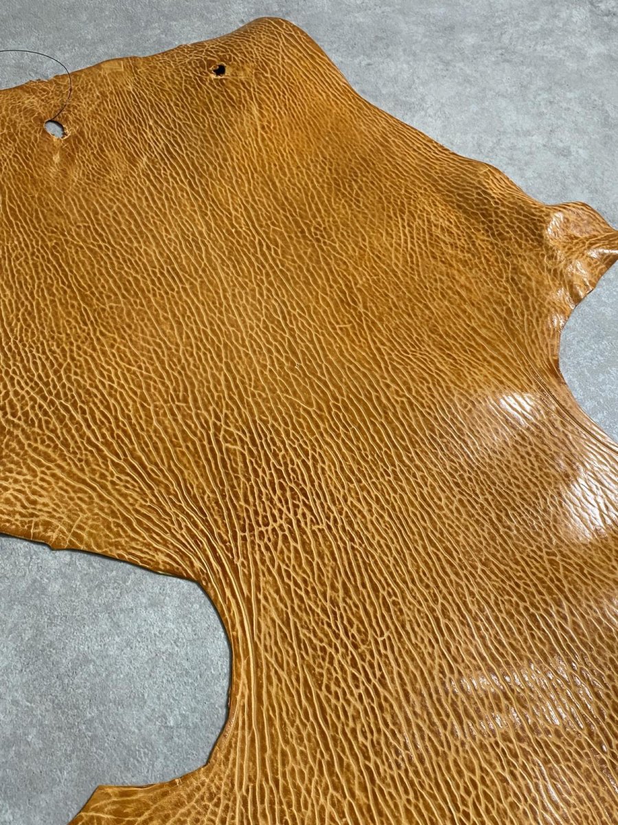 画像5: ケープシール　キャメル　オットセイ革　シールスキン　エキゾチックレザー (5)