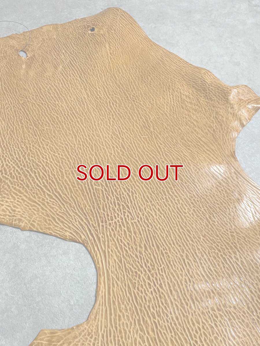 画像5: ケープシール　キャメル　オットセイ革　シールスキン　エキゾチックレザー (5)