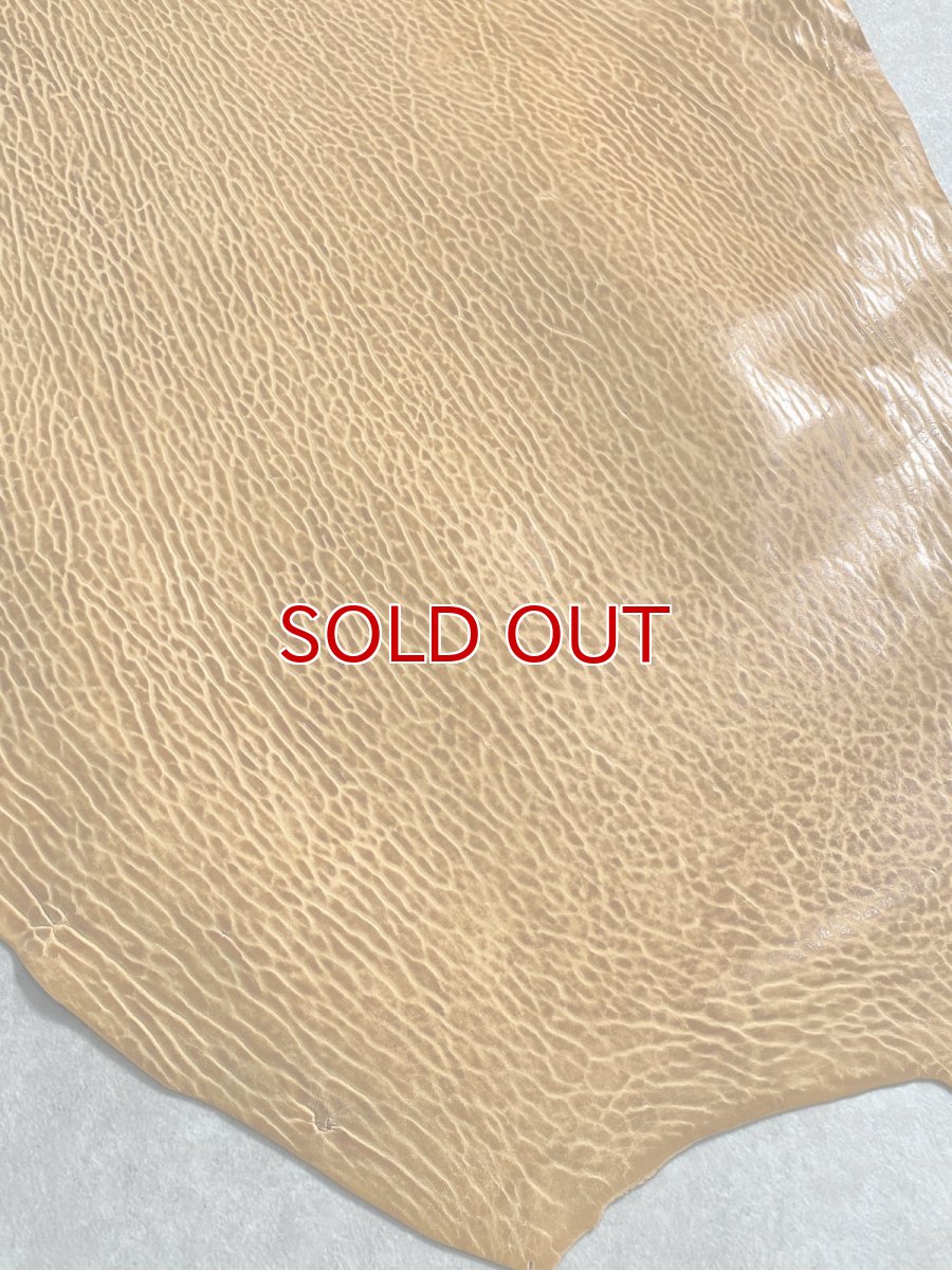 画像6: ケープシール　キャメル　オットセイ革　シールスキン　エキゾチックレザー (6)