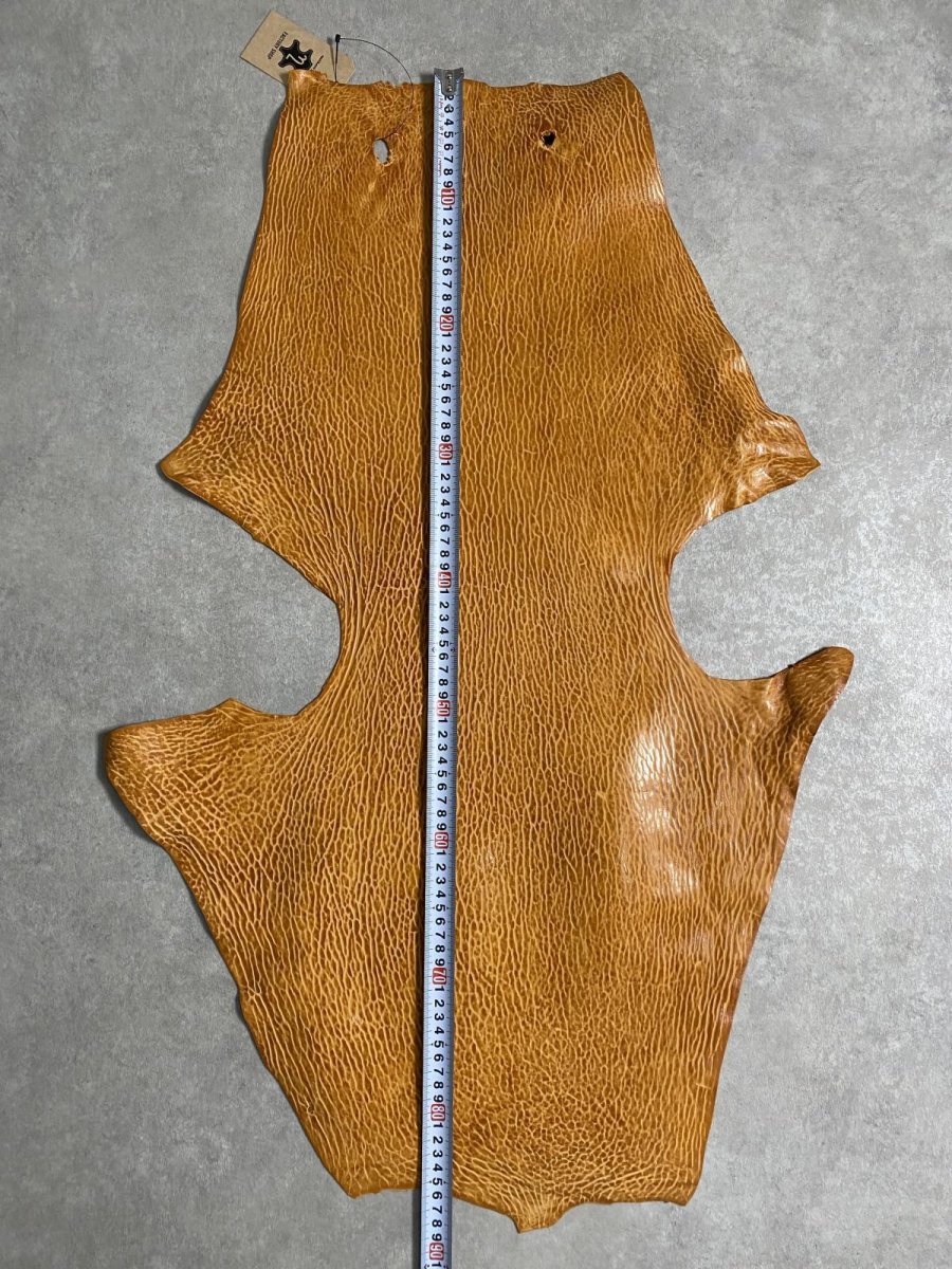 画像7: ケープシール　キャメル　オットセイ革　シールスキン　エキゾチックレザー (7)