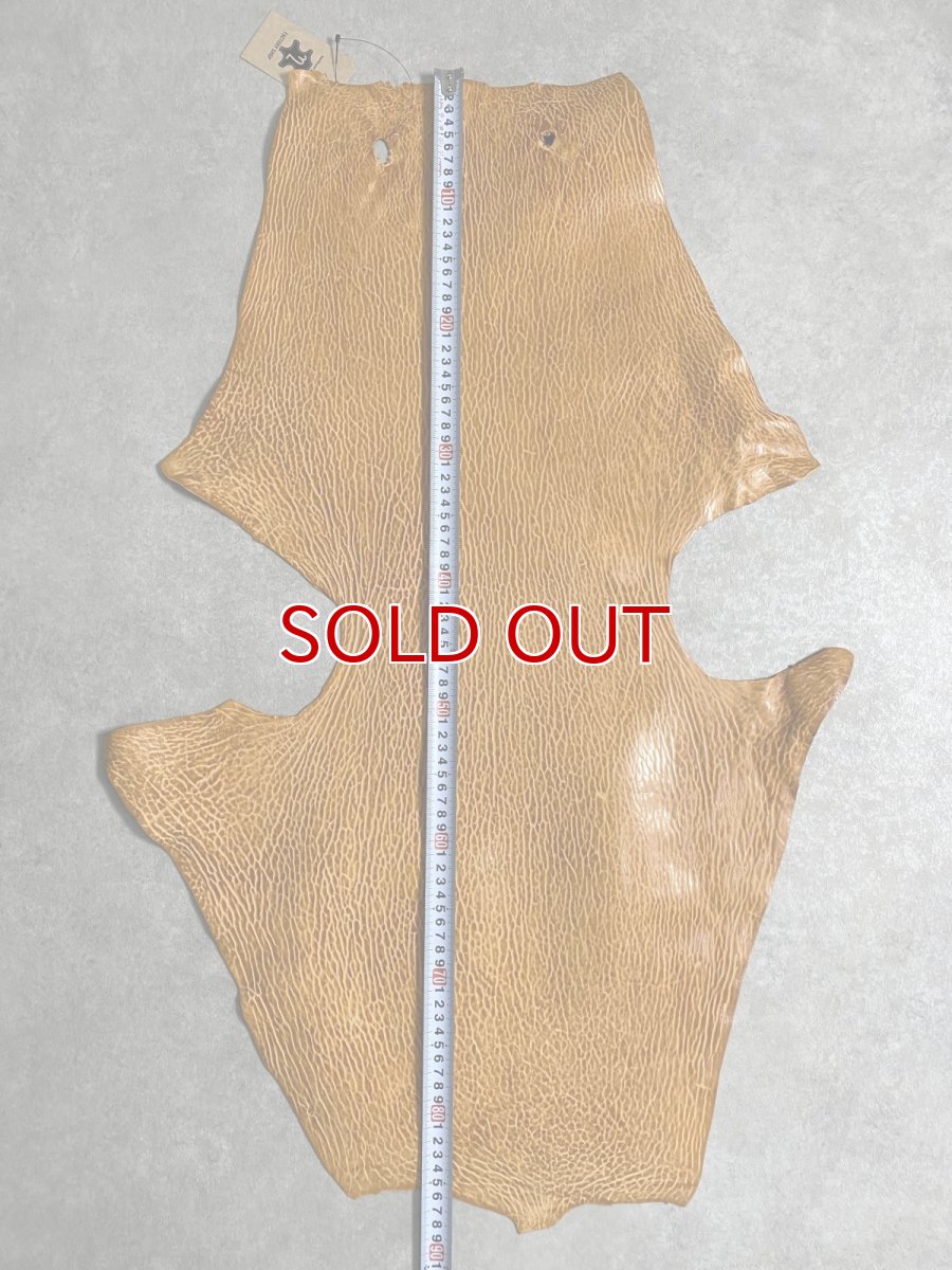 画像7: ケープシール　キャメル　オットセイ革　シールスキン　エキゾチックレザー (7)