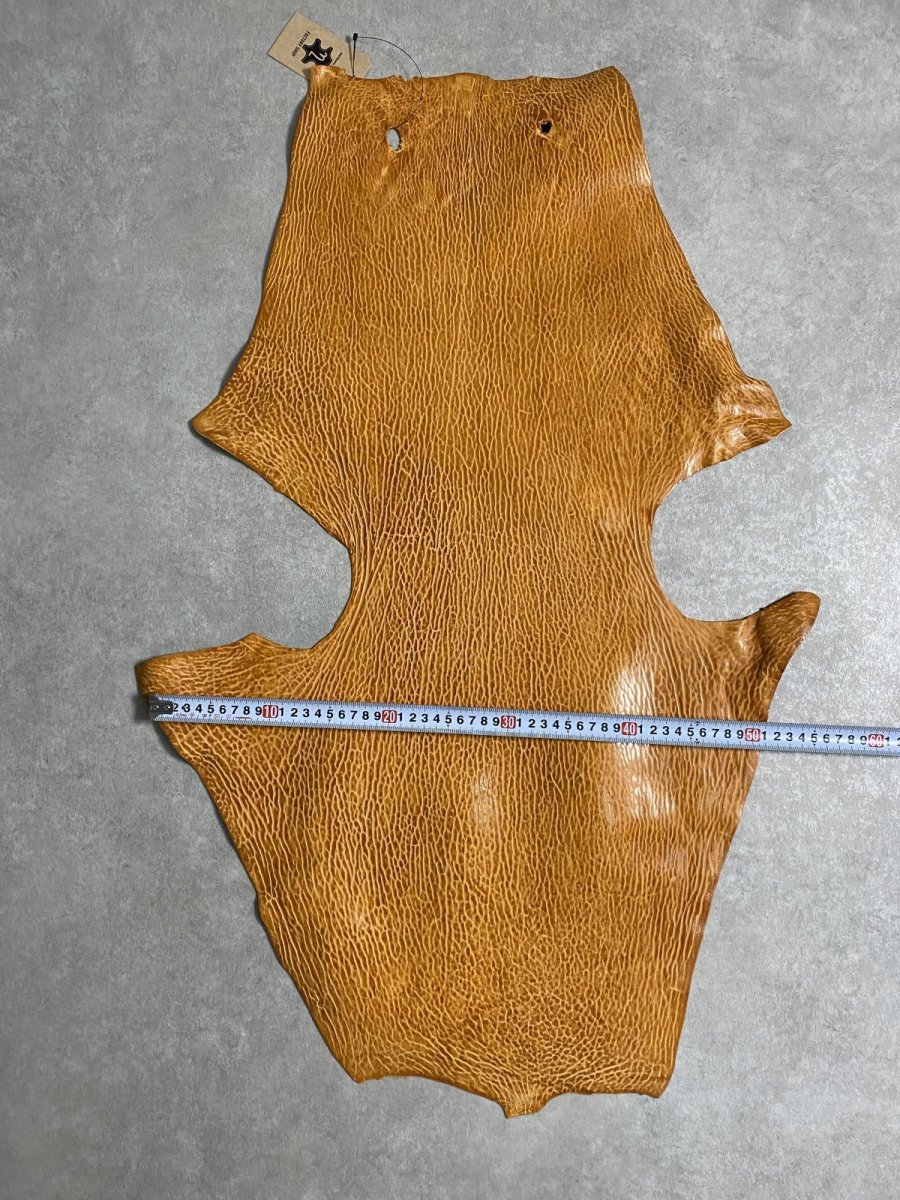 画像8: ケープシール　キャメル　オットセイ革　シールスキン　エキゾチックレザー (8)