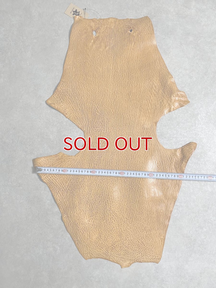 画像8: ケープシール　キャメル　オットセイ革　シールスキン　エキゾチックレザー (8)